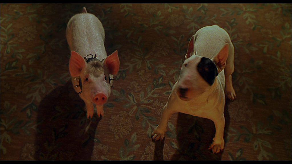 Кадр из фильма Бэйб: Поросенок в городе / Babe: Pig in the City (1998)