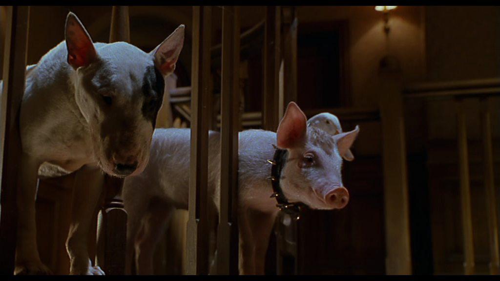 Кадр из фильма Бэйб: Поросенок в городе / Babe: Pig in the City (1998)