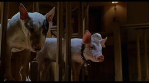 Кадры из фильма Бэйб: Поросенок в городе / Babe: Pig in the City (1998)