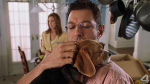 Кадры из фильма Кошки против собак / Cats & Dogs (2001)