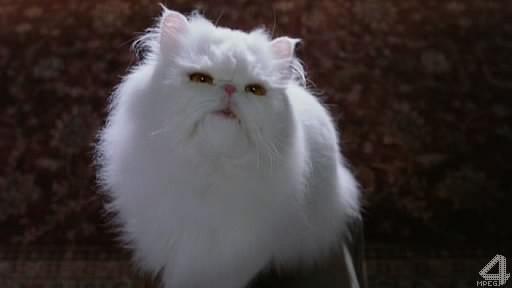 Кадр из фильма Кошки против собак / Cats & Dogs (2001)