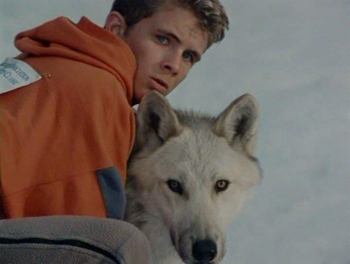 Кадр из фильма Серебряный волк / Silver Wolf (1999)