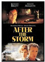 После шторма / After the Storm (2001)