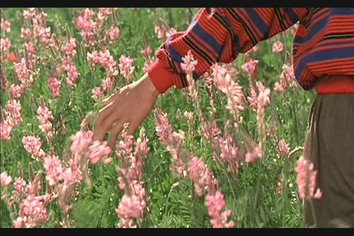 Кадр из фильма Цвет Рая / Rang-e khoda (1999)