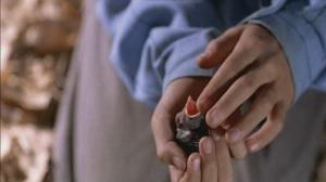 Кадры из фильма Цвет Рая / Rang-e khoda (1999)