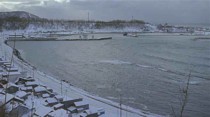 Кадр из фильма Идущий по снегу / Aruku, hito (2001)