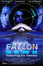 Призрачная цель / Falcon Down (2001)