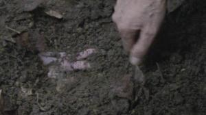 Кадры из фильма Мягко копать / Soft for Digging (2001)