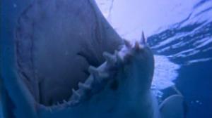 Кадры из фильма Акулы 2 / Air Jaws: Sharks of South Africa (2001)