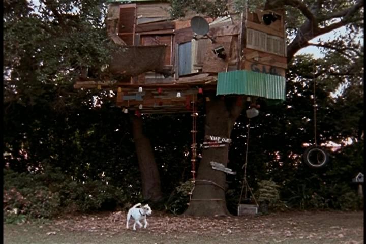 Кадр из фильма Домашнее задание / Treehouse Hostage (1999)