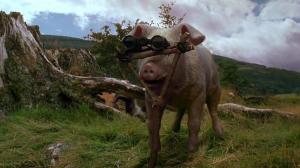 Кадры из фильма Скотный двор / Animal Farm (1999)