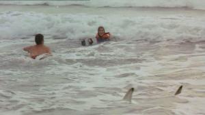 Кадры из фильма Кровавый серфинг / Krocodylus (2000)