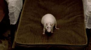 Кадры из фильма Мистер Крыс / Rat (2000)