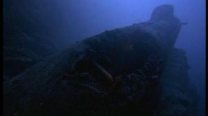 Кадры из фильма Щупальца / Octopus (2000)