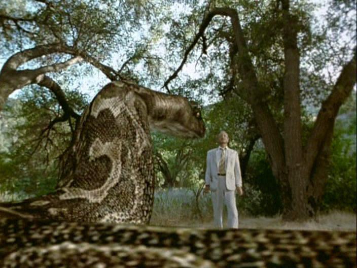 Кадр из фильма Питон / Python (2000)