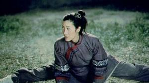 Кадры из фильма Крадущийся тигр, затаившийся дракон / Wo hu cang long (2000)