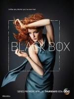Чёрный ящик / Black Box (2014)