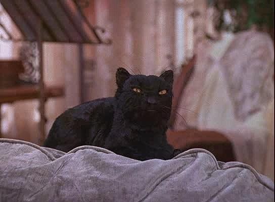Кадр из фильма Сабрина - маленькая ведьмочка / Sabrina, the Teenage Witch (1996)