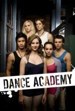 Танцевальная академия / Dance Academy (2010)