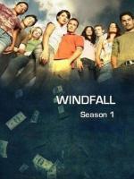 Внезапная удача / Windfall (2006)