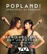 Вспышка – любовь / Popland! (2011)