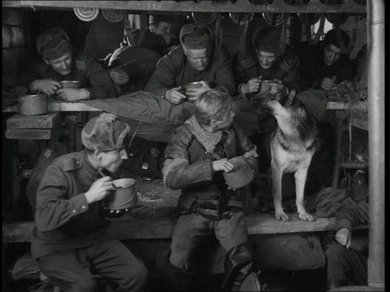 Кадр из фильма Четыре танкиста и собака / Czterej pancerni i pies (1966)