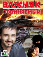 Обвиняемый / Важняк (2012)