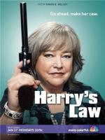 Закон Хэрри / Harry's Law (2011)