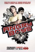 Злые парни / Angry Boys (2011)