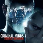 Мыслить как преступник: Поведение подозреваемого / Criminal Minds: Suspect Behavior (2011)
