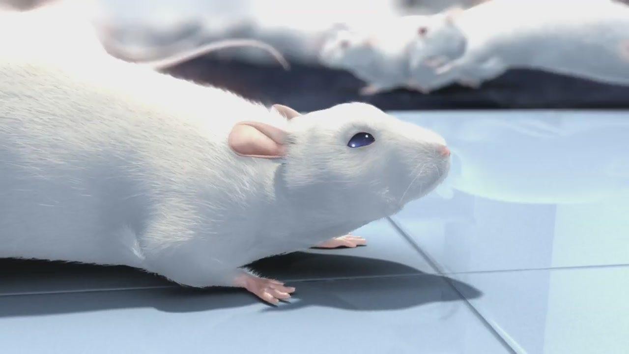 Кадр из фильма История одной крысы / One Rat Short (2006)