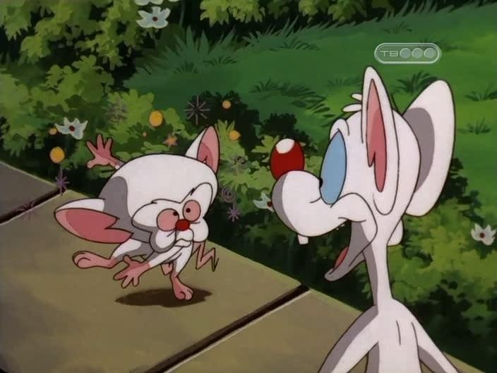 Кадр из фильма Пинки и Брейн / Pinky and the Brain (1995)