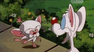 Кадры из фильма Пинки и Брейн / Pinky and the Brain (1995)