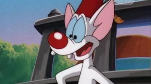 Кадры из фильма Пинки и Брейн / Pinky and the Brain (1995)