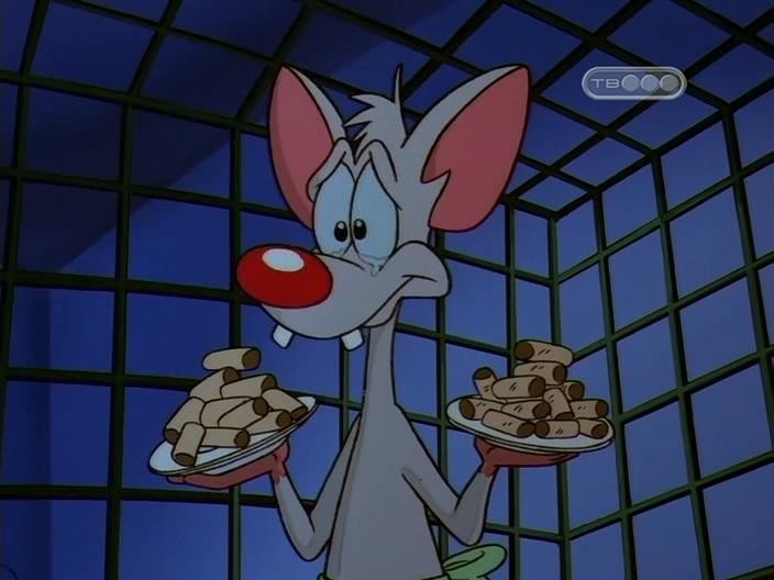 Кадр из фильма Пинки и Брейн / Pinky and the Brain (1995)