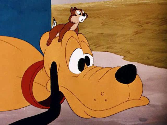 Кадр из фильма Чип и Дейл / Chip an' Dale (1947)