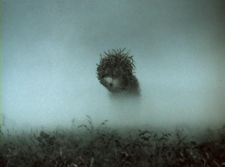 Кадр из фильма Ёжик в тумане (1975)