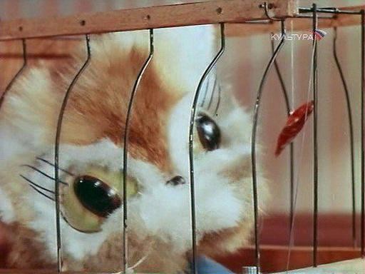 Кадр из фильма Кошки-мышки (1975)
