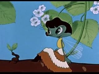 Кадр из фильма Муха - цокотуха (1960)