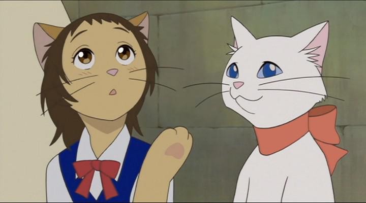 Кадр из фильма Возвращение кота / Neko no Ongaeshi (2002)