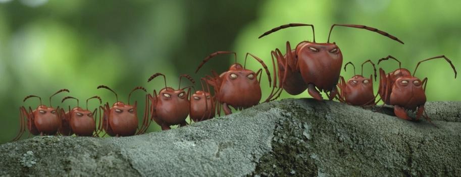Кадр из фильма Букашки. Приключение в Долине муравьев / Minuscule - La vallée des fourmis perdues (2014)
