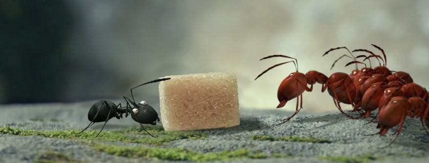 Кадр из фильма Букашки. Приключение в Долине муравьев / Minuscule - La vallée des fourmis perdues (2014)