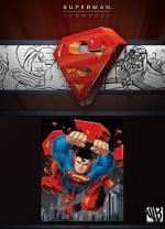 Супермен: Судный день / Superman: Doomsday (2007)