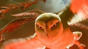 Кадры из фильма Легенды ночных стражей / Legend of the Guardians: The Owls of Ga’Hoole (2010)
