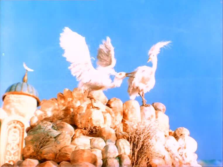 Кадр из фильма Белая цапля (1987)
