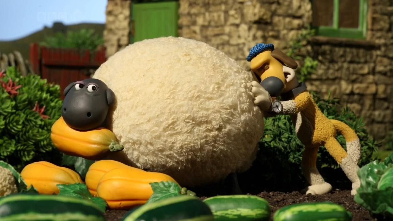 Кадр из фильма Барашек Шон / Shaun the Sheep (2007)