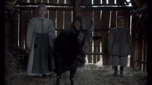 Кадры из фильма Ведьма / The VVitch: A New-England Folktale (2015)