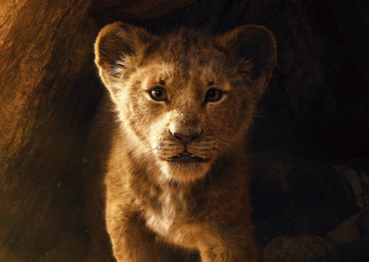 Кадр из фильма Король Лев / The Lion King (2019)